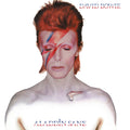 Aladdin Sane Vinyl