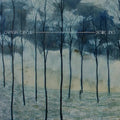 Desire Lines CD