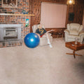 Digipak CD edition of Don't Let The Kids Win by Julia Jacklin featuring the vintage style cover photo of Julia in a blue medicine ball.