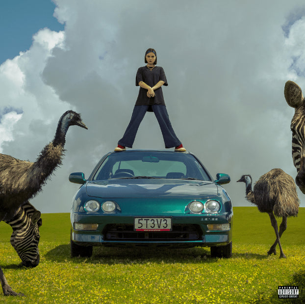 A surreal outdoor scene with a person standing on the roof of a teal car, surrounded by emus and part of a zebra under a cloudy sky. A Parental Advisory label appears in the bottom-right corner.