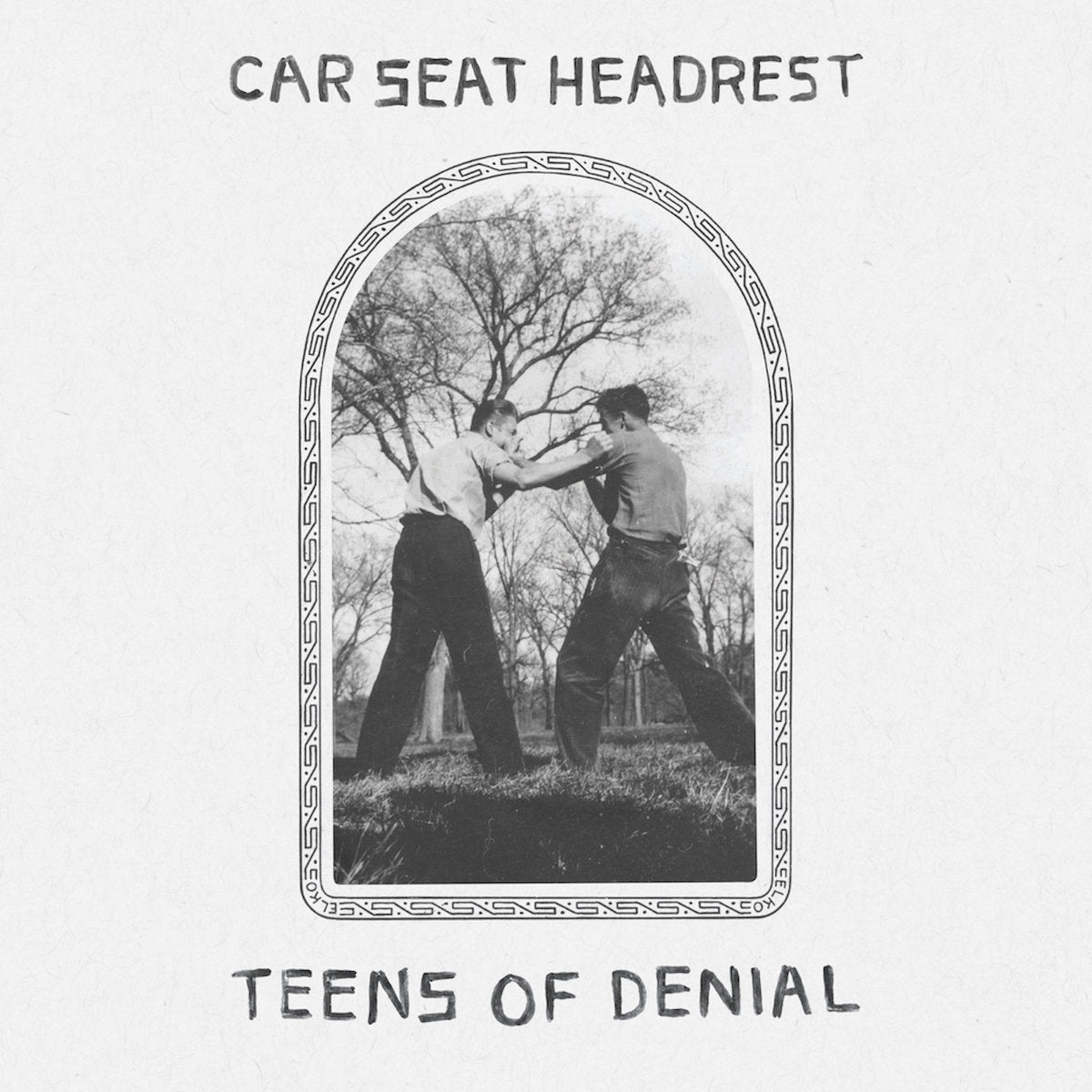 Teens Of Denial Vinyl
